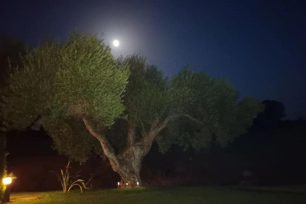 Casa Los Olivos Arcos de la Frontera Luaran gambar
